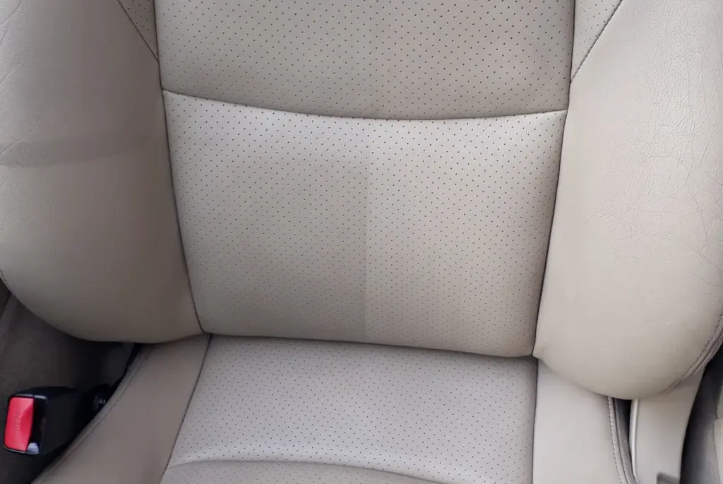 Ledersitz Tiefenreinigung