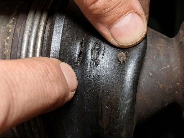 versteckter Marderbiss an Achsmanschette